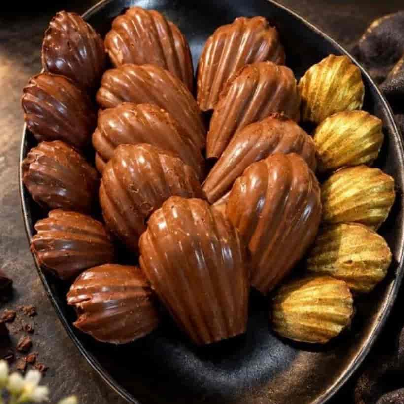 فایل آموزش رنگ مو
